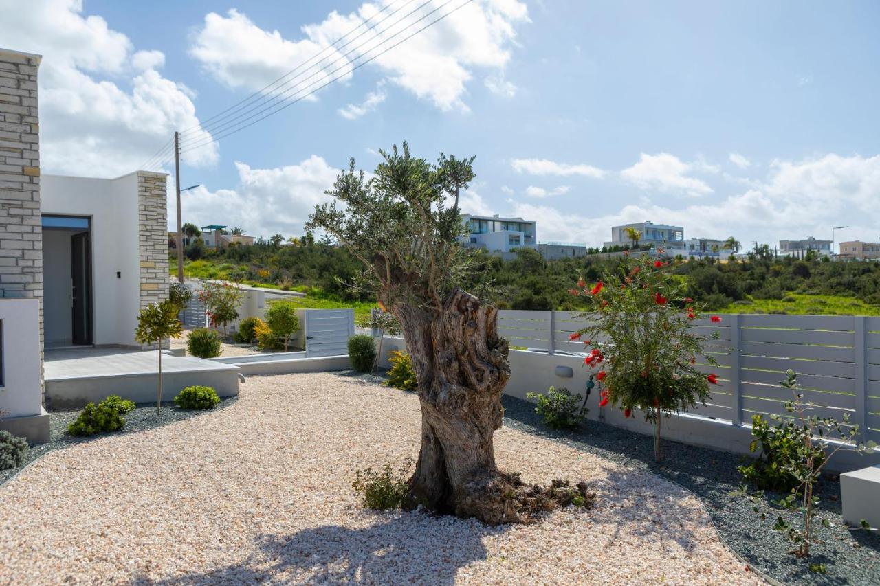Villa Adaris, Sea Caves Peyia パ フォス エクステリア 写真